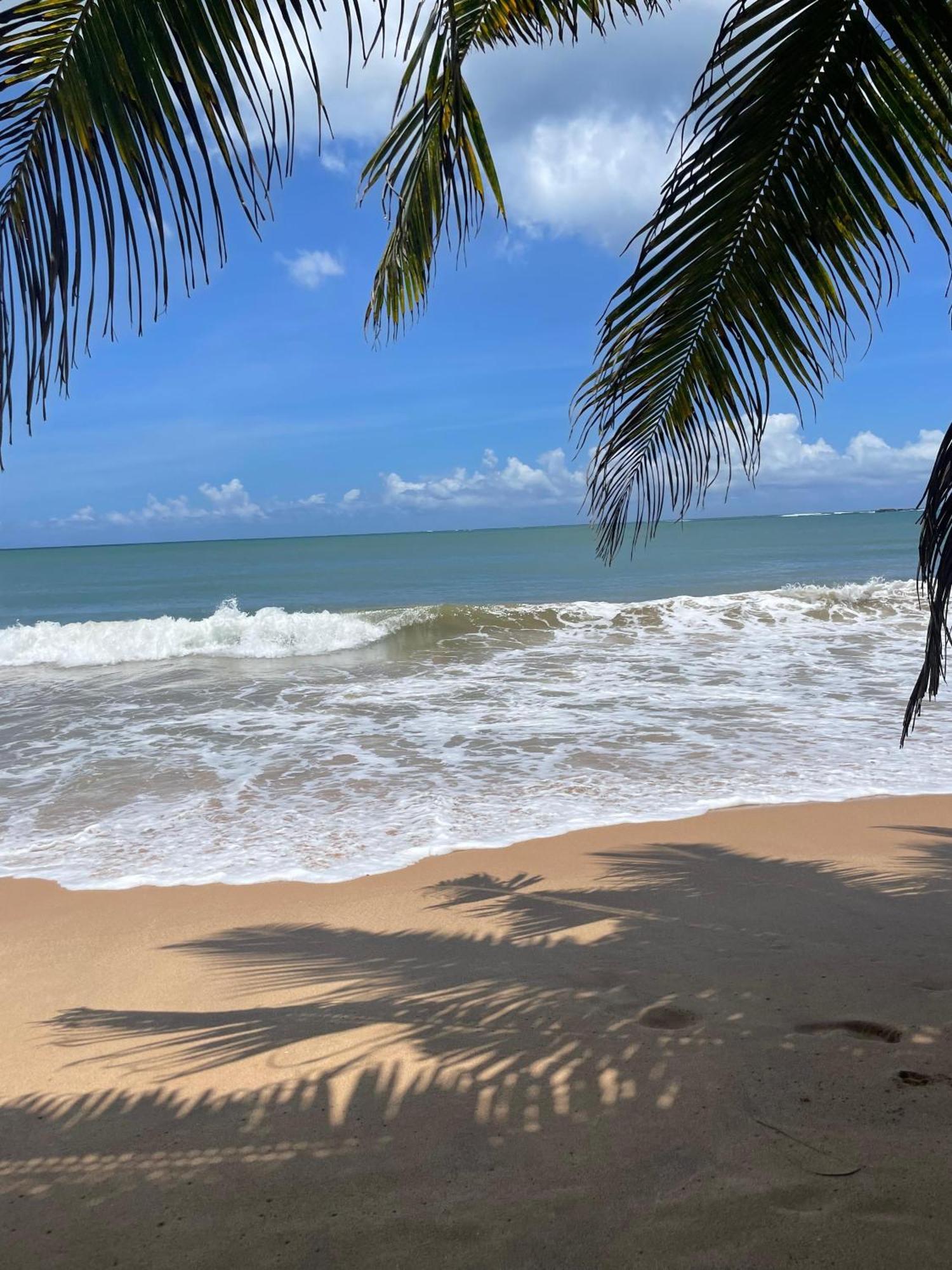 Frangipani Beach Villa Tangalle Exterior photo